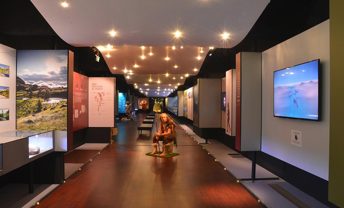 Informations pratiques