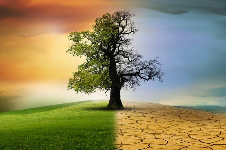 L'originalité et la variété climatique dans les Alpes-Maritimes