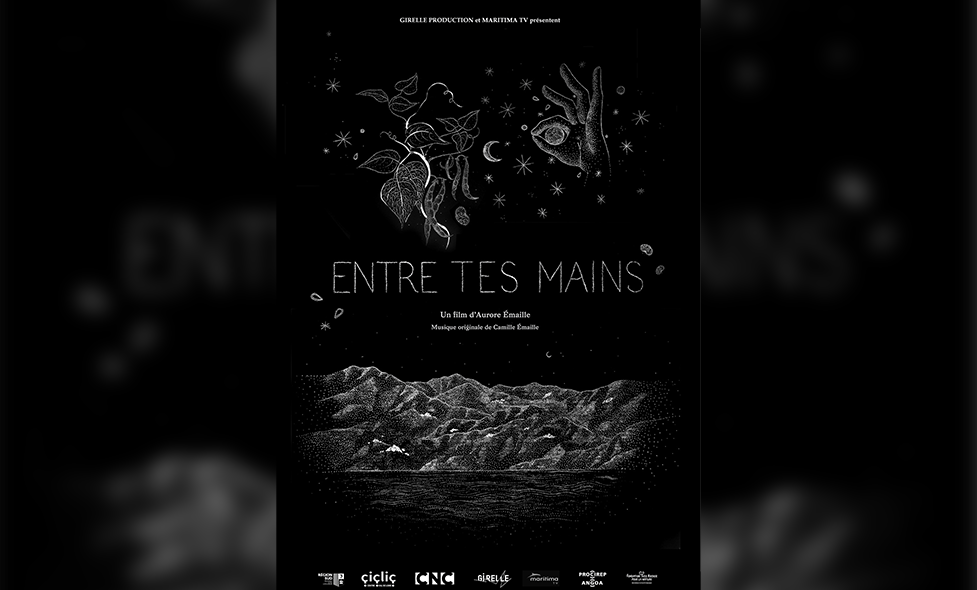 entre_tes_mains - Agrandir l'image, fenêtre modale