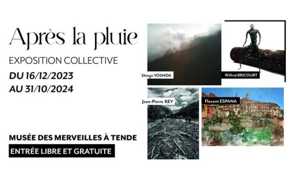 Exposition - Après la pluie - Agrandir l'image, fenêtre modale