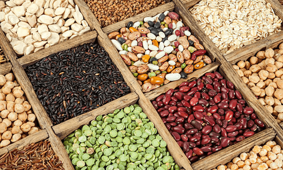 les_cereales_et_les_legumineuses - Agrandir l'image, fenêtre modale