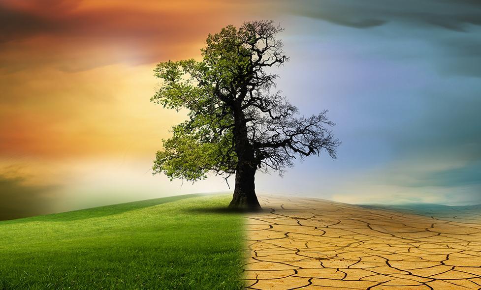 L'originalité et la variété climatique dans les Alpes-Maritimes - Agrandir l'image, fenêtre modale