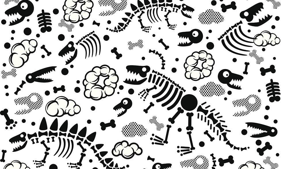 Tombé sur un os #1 - Agrandir l'image, fenêtre modale